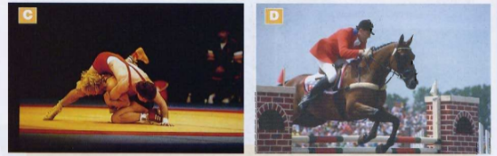 Pictures C and D